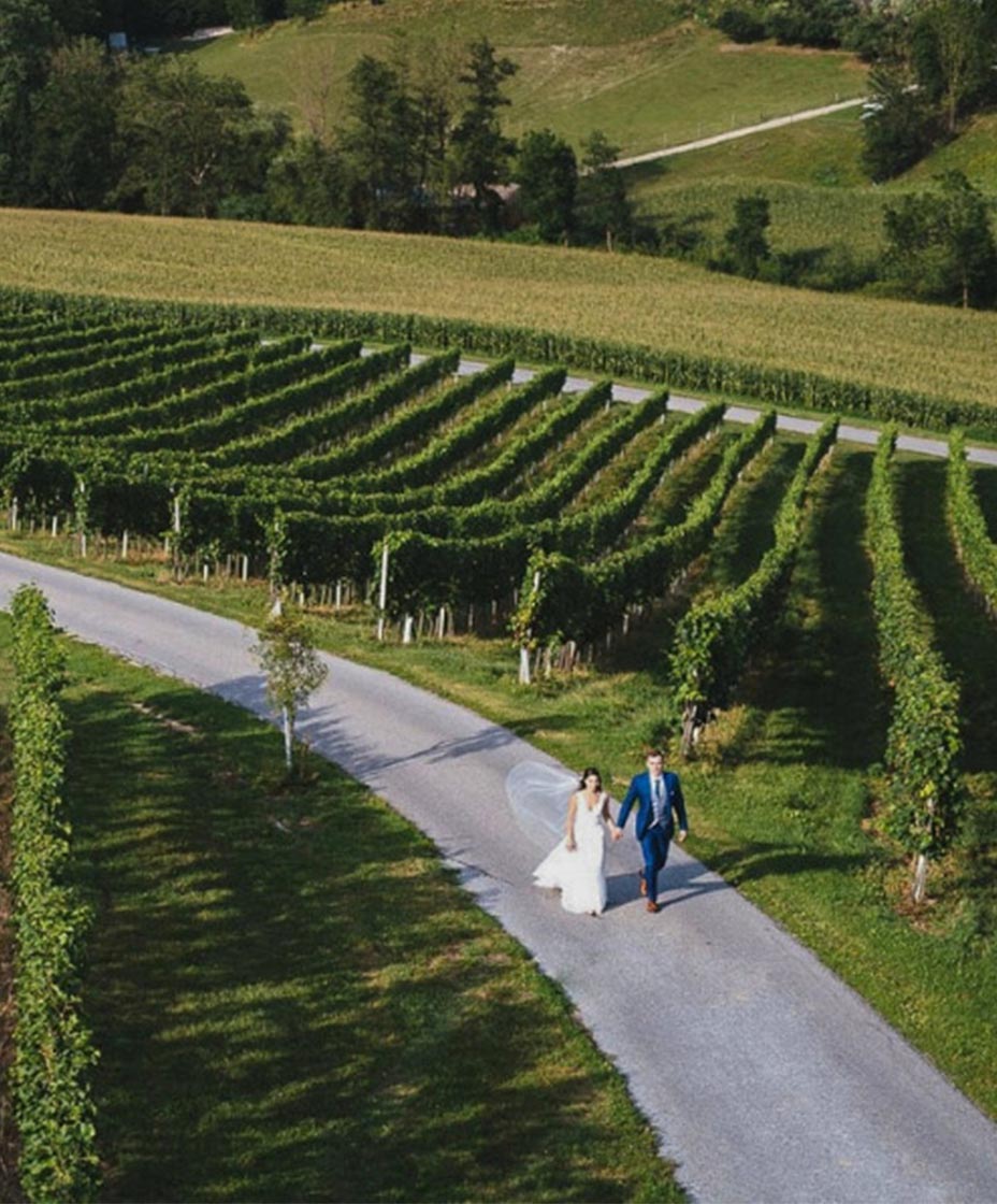 elopments final color